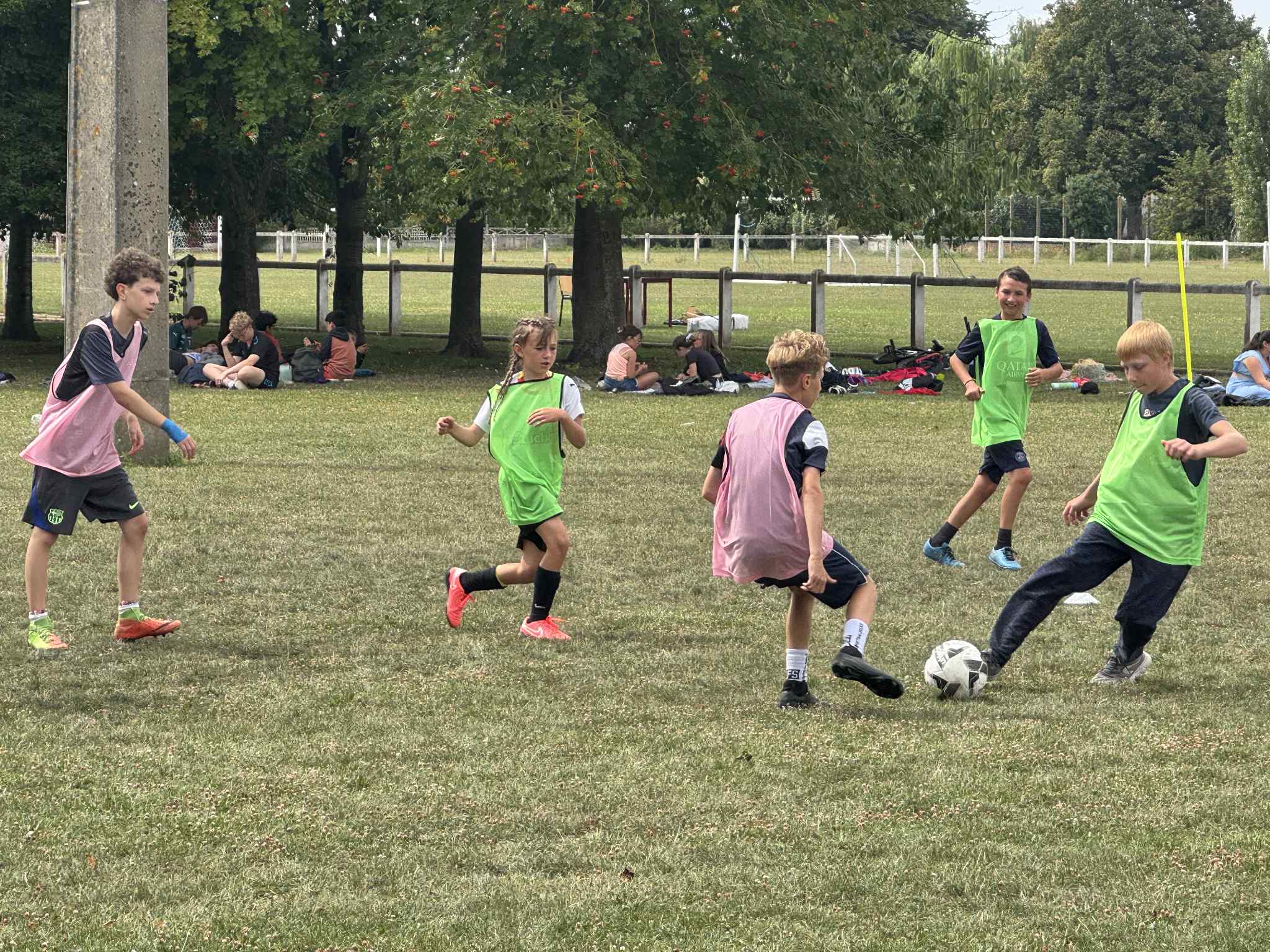 23d424c0 9121 4d6e 81c5 015e77ee434c